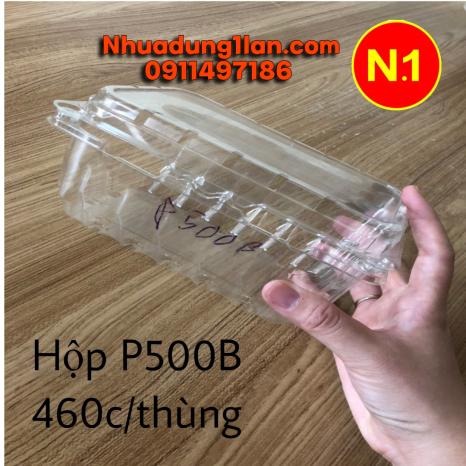 HỘP TRÁI CÂY P500B